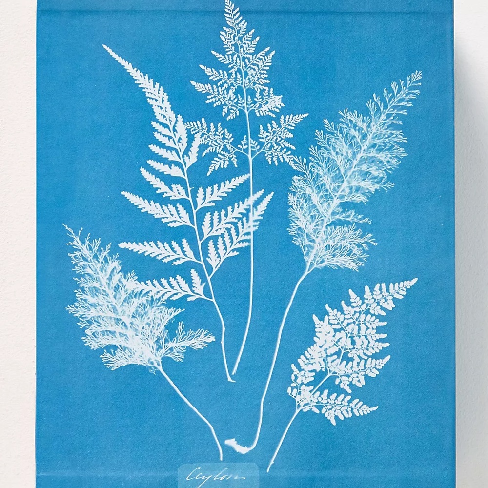 cyanotype sun print tea towel dye kit from Anthropologie